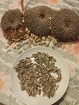 IMG_20211220_185928.jpg