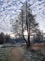 IMG_20211221_104714.webp