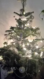 W-Baum.webp