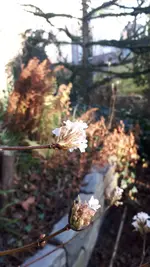 20211220_131327.webp