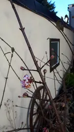 20211220_131203.webp