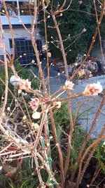 20211220_131147.webp