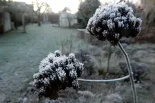 DSCN3723.webp