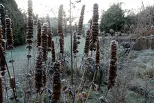 DSCN3724.webp