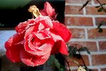 DSCN3728.JPG