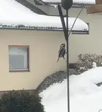 F5733C02-D2EC-493C-BA59-E2BFE9485E8C.jpeg