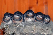 Vor dem Abflug-0001.webp