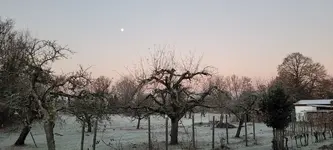 20211221_081117.webp