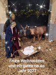 IMG_20211222_182011.jpg