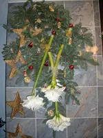 CIMG0690.webp