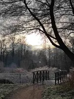 IMG_20211221_104803.webp