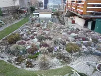 Alp 2008_28.03.2021.JPG