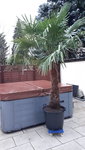 20211224_155529.jpg