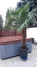 20211224_155529.webp