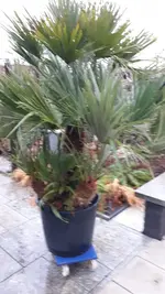20211224_153954.webp