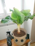 IMG_20211225_135841.jpg