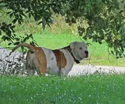 IMG_5217 v (2).webp