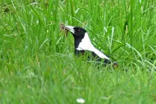 IMG_6932 v (2).webp
