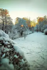 IMG_20211226_0836203-01.webp