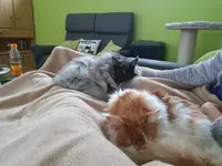 IMG-20211226-WA0014.webp