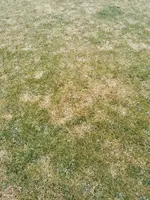 02 Details (2).webp