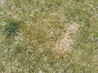 02 Details (3).webp