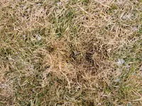 02 Details (4).webp