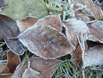 P1060013.JPG