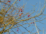 P1060014.JPG