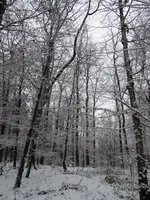P1060027.webp
