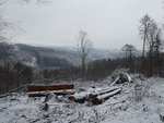 P1060036.JPG