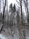 P1060039.JPG