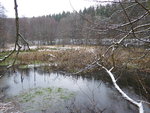 P1060051.JPG