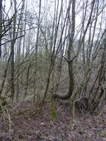 P1060080.webp