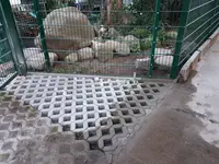20190922_181500.webp