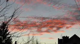 P1320596.webp