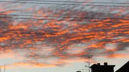P1320586.webp