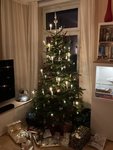 IMG_0145.JPG