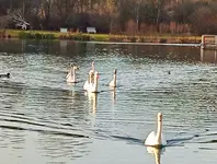 1641108868936 (2).webp