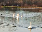 1641108868936 (2).jpg