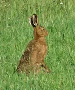 IMG_5565 v (2).webp