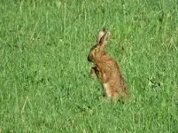IMG_5576 v (2).webp
