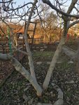 IMG_20220101_154313.jpg