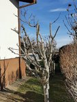IMG_20220102_122233.jpg