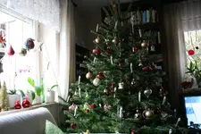 Dez.3516.webp