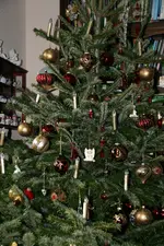Dez.3616.webp