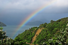 IMG_5053 v (2).webp