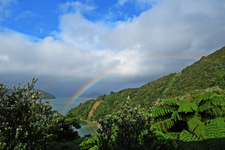 IMG_5054 v (2).webp