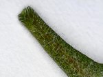 WIN_20220104_00_40_46_Pro.jpg