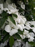 20200610_192733.jpg